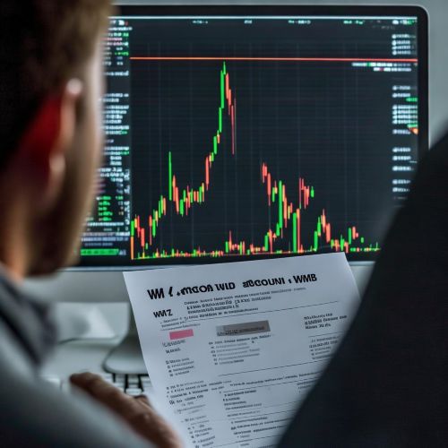 WebMoney到底是什么？新手如何避免踩坑？
