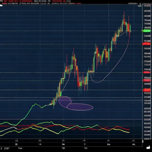比特币价格为何突破5万美元？现在还能买入吗？